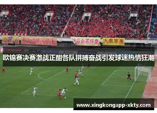 欧锦赛决赛激战正酣各队拼搏奋战引发球迷热情狂潮
