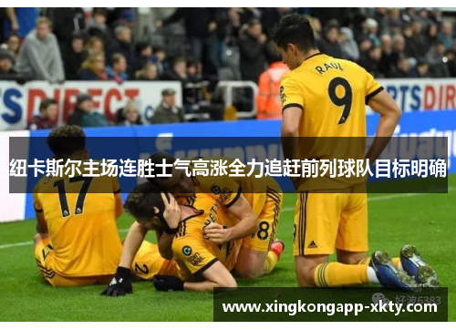 纽卡斯尔主场连胜士气高涨全力追赶前列球队目标明确
