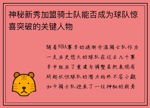 神秘新秀加盟骑士队能否成为球队惊喜突破的关键人物