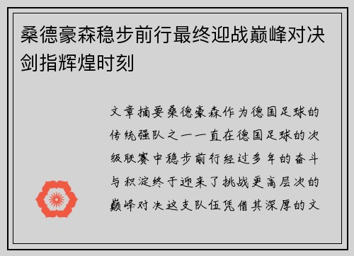 桑德豪森稳步前行最终迎战巅峰对决剑指辉煌时刻